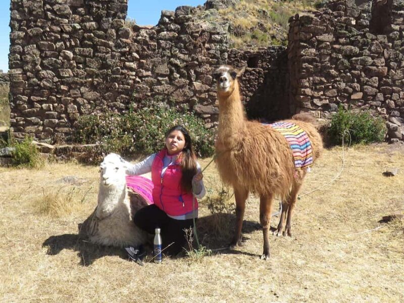 Cusco: Alpaca Therapy in the Cuyo Chico community |Half day| - Key Points