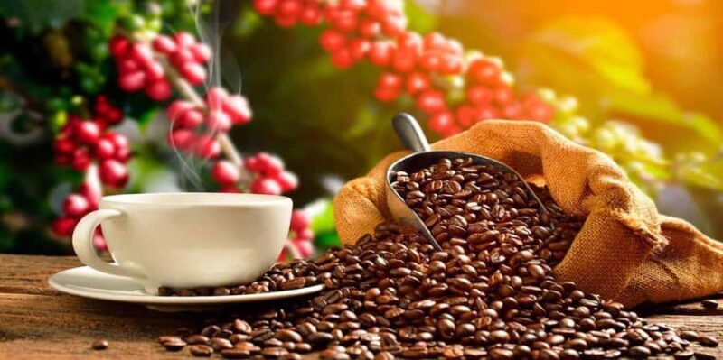 Cusco: Chocolate tour in Huayopata |Private| - Cusco: Chocolate Tour in Huayopata |Private| — A Sweet Escape into the Jungle