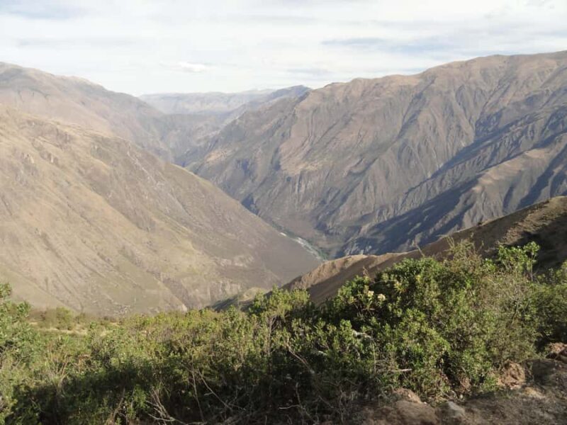 Cusco: Chonta Canyon and Condor Flight Tour with Lunch - Key Points