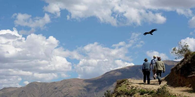 Cusco: Chonta Canyon, Tarawasi, and Killarumiyoq Tour - Frequently Asked Questions