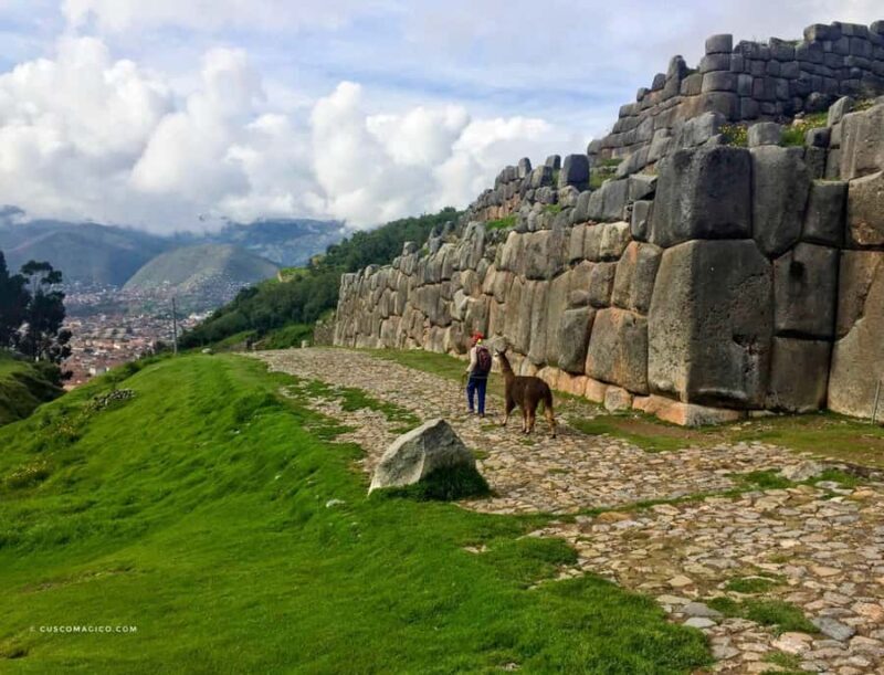 Cusco City: Afternoon Bus Tour incl. Entrance Fees - Deep Dive into the Experience