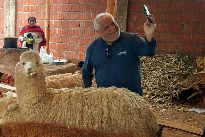 Cusco: City Tour Half Day Tour with Sacsayhuaman and Qenqo - The Sum Up