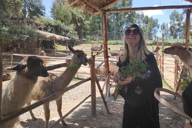 Cusco City Tour Peru 1/2 day - Final Thoughts: Is It Worth It?