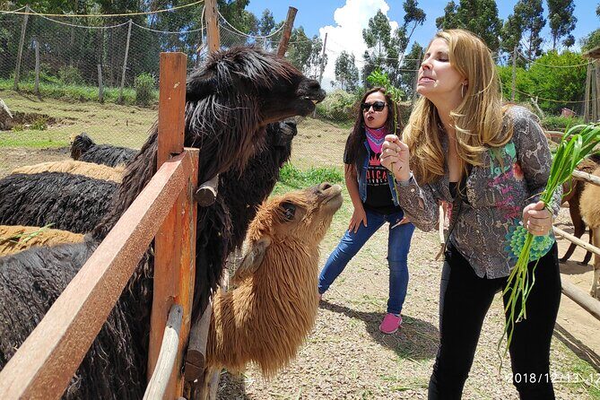 Cusco City Tour Peru 1/2 day - Frequently Asked Questions
