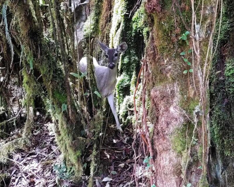 Cusco: Classic Inca Trail 4-Day Trek to Machu Picchu - Final Thoughts