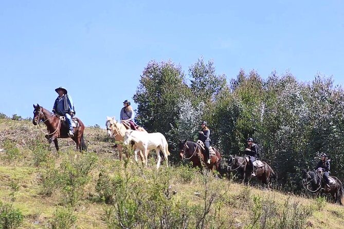 Cusco Day Tour Horse Riding Mystic Tour Full Service The Most Recommended - A Deep Dive into the Cusco Horse Riding Mystic Tour