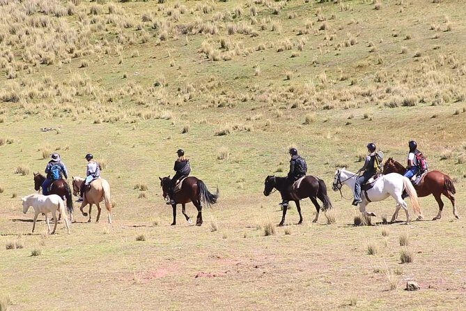 Cusco Day Tour Horse Riding Mystic Tour Full Service The Most Recommended - Who Should Consider This Tour?