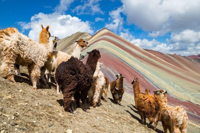 Cusco: Excursion to Rainbow Mountain | full day | - The Journey to Rainbow Mountain: An In-Depth Review