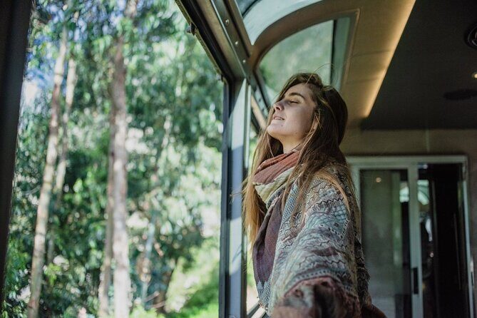 Cusco: Full-Day Tour to Machu Picchu by 360° train - Key Points