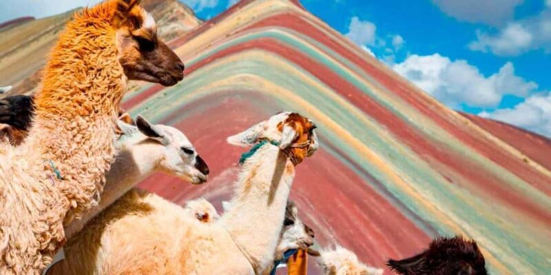 Cusco: Guided Tour to Rainbow Mountain - Key Points