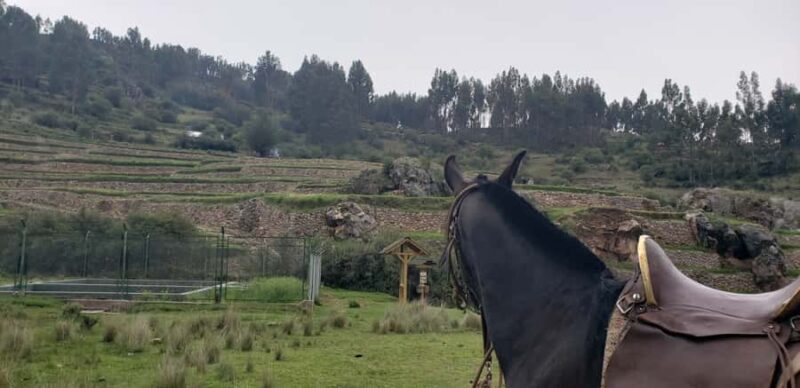 Cusco: Hidden Incan Temples Full-Day Horseback Riding Tour - Key Points