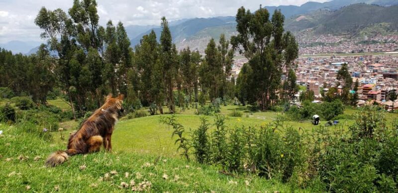 Cusco: Hidden Incan Temples Full-Day Horseback Riding Tour - Authenticity and Unique Experiences