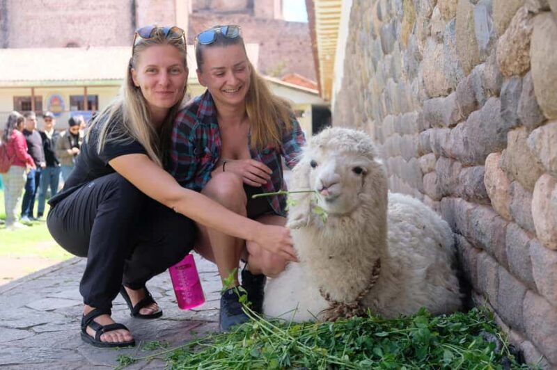 Cusco Highlights Walking Tour: History, Culture, Traditions - Who This Tour Is Best For