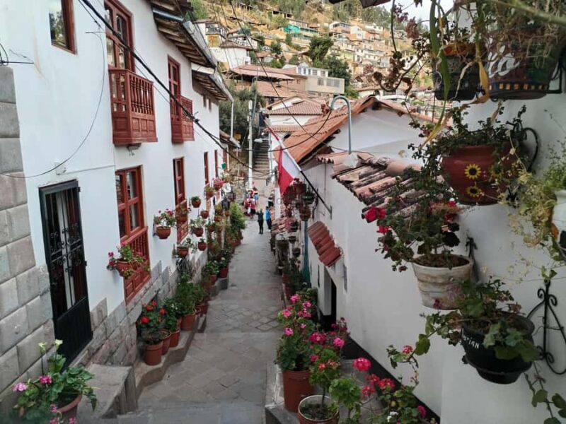 Cusco: Historic Walking Tour & Scenic Views with local drink - What the Tour Includes and Practical Tips