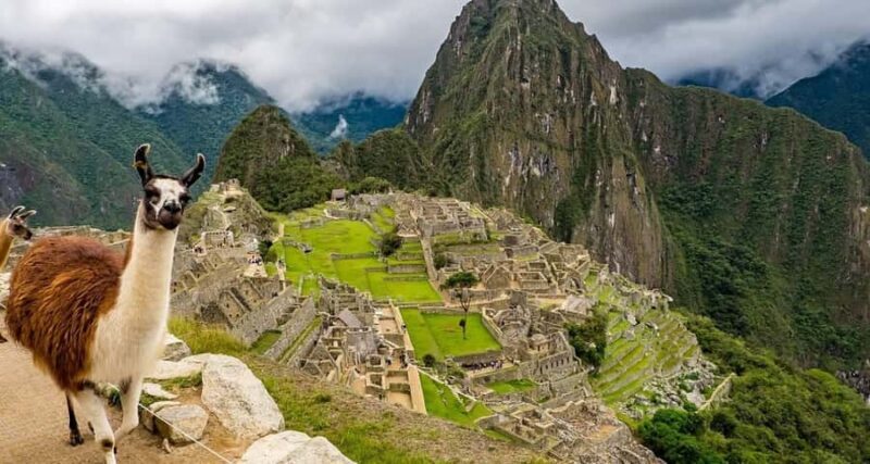 Cusco: Inca Trail 2 days trekking - Machu Picchu - An In-Depth Look at the Inca Trail 2-Day Trek