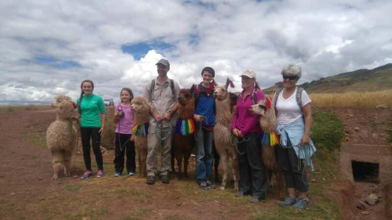 Cusco: Llama and Alpaca Trekking in the Sacred Valley - What to Expect from the Tour