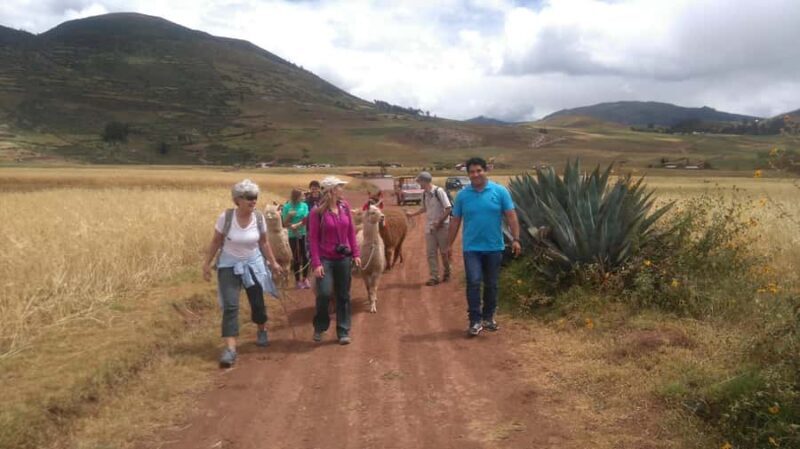 Cusco: Llama and Alpaca Trekking in the Sacred Valley - Final Thoughts