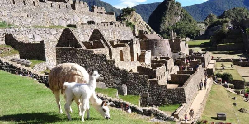Cusco & Machu Picchu: 3 Day Tour Package - Key Points