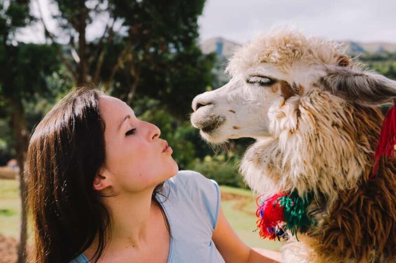 Cusco & Machu Picchu: 5 days of adventure, culture and tradition - Who Will Love This Tour?