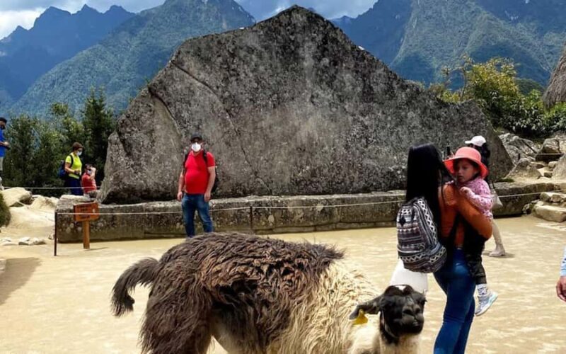 Cusco: Machu Picchu Afternoon Tour with Guide - Practical Considerations: What to Know Before You Go