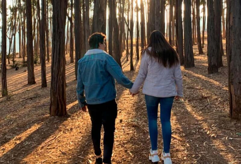 CUSCO: Picnic in the Eucalyptus Forest + Painting of bulls - Key Points