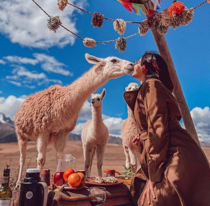 Cusco: Private picnic with view of the Sacred Valley, llamas and Maras & Moray - An In-Depth Look at the Experience