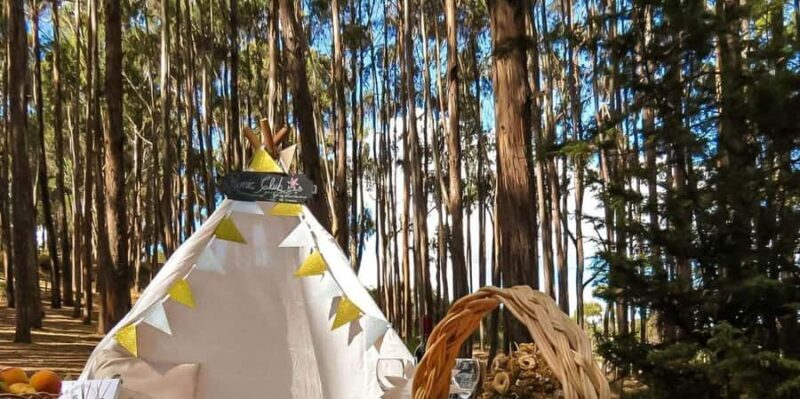 Cusco: Qenqo Eucalyptus Forest + Andean Picnic + Painting - Key Points