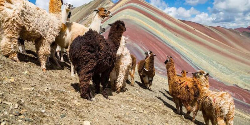 Cusco: Rainbow Mountain and Humantay Lake 2-Day Tour + Meals - FAQs