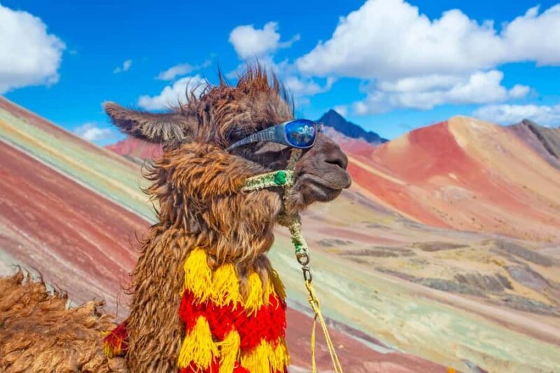Cusco : Rainbow Mountain and Red Valley Tour - What to Bring and Tips for the Day