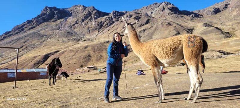 Cusco: Rainbow Mountain & Red Valley Tour with Picnic meals - FAQs