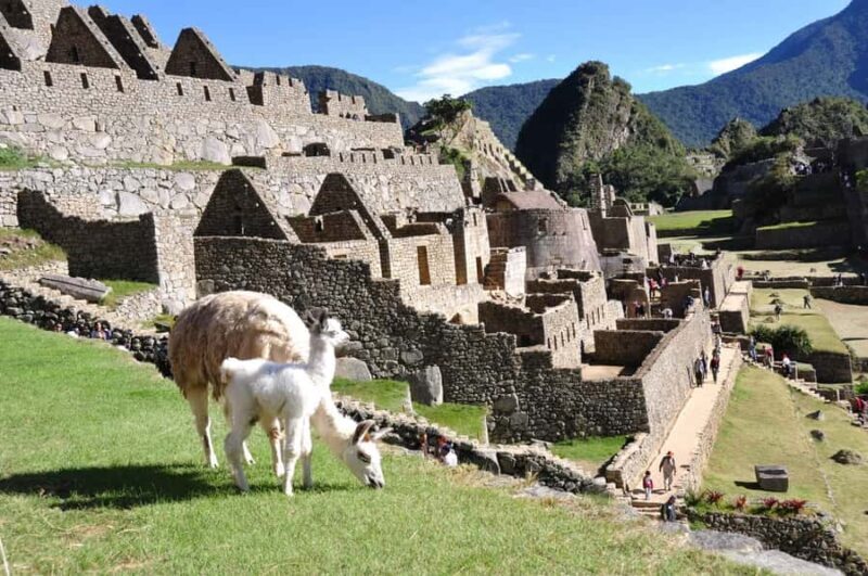 Cusco to Machu Picchu Day Trip - Making the Most of Your Day Trip