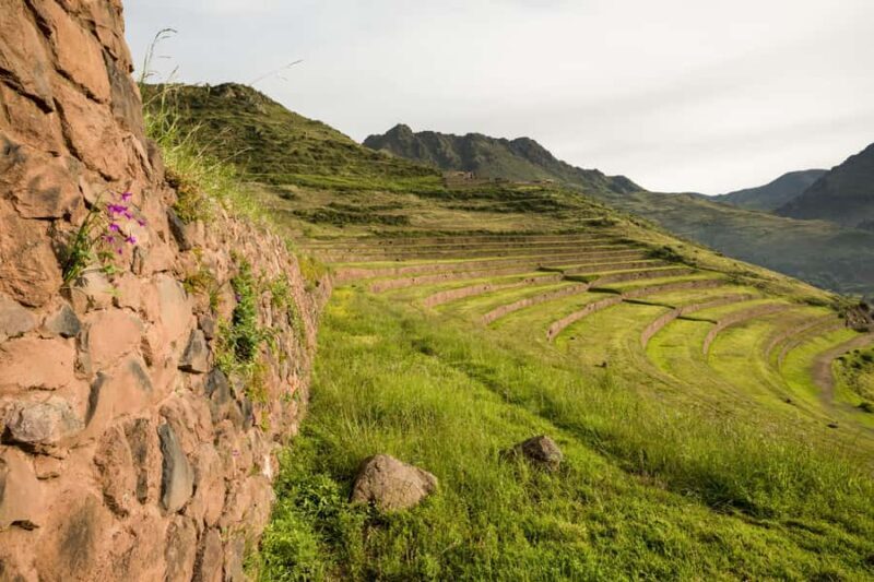 Cusco: Visit to the Pisac Market and the Ollantaytambo Fortress. - Final Thoughts: Who Should Consider This Tour?