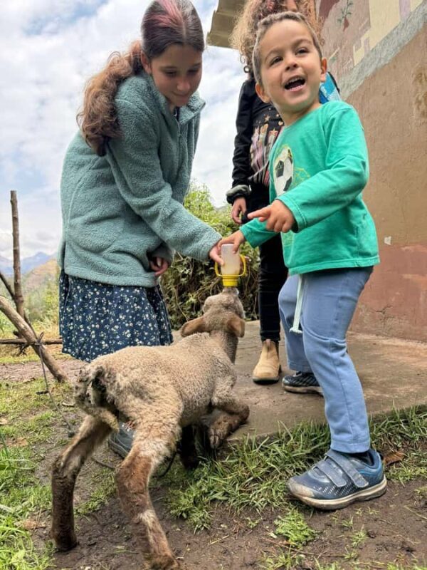 Cusco: Visit to the rural community of Ampay-Pisac-Sacred Valley. - What’s Included & What to Expect