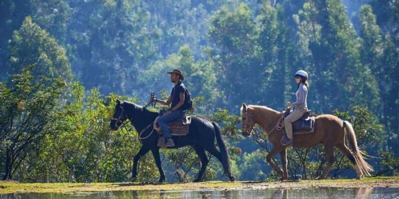 Cusco: Visit to the Temple of the Moon - Horseback ride - A Practical Look at the Cusco Horseback Ride to the Temple of the Moon