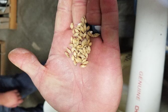 Custom Arizona Brewery / Vineyard Tour - Exploring Phoenix’s Beverage Scene: A Deep Dive