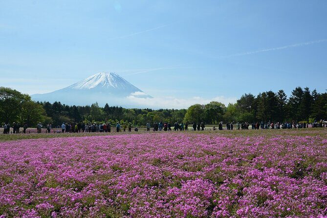 Custom Guided Day Tour to Mt. Fuji with English-Speaking Driver - Frequently Asked Questions