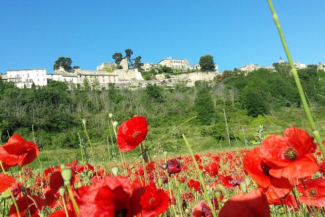 Custom Half-Day Private Tour through Provence - A Personalized Peek Into Provence: What You Can Expect from the Private Half-Day Tour