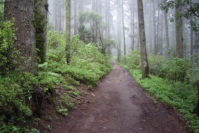 Custom Hiking in the Lions Desert - Key Points