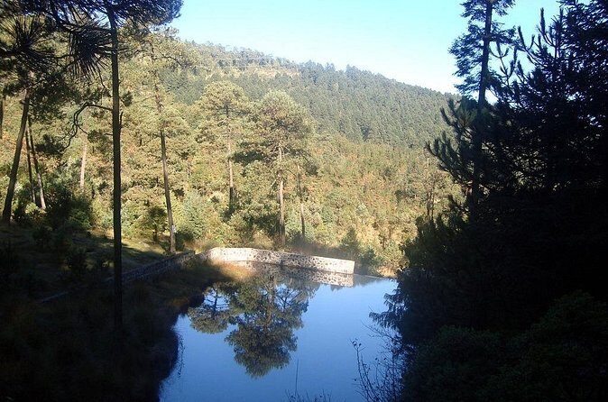 Custom Hiking in the Lions Desert - Final Thoughts