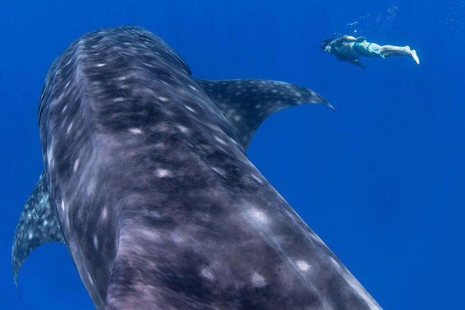 Custom Private Adventure - Key Points