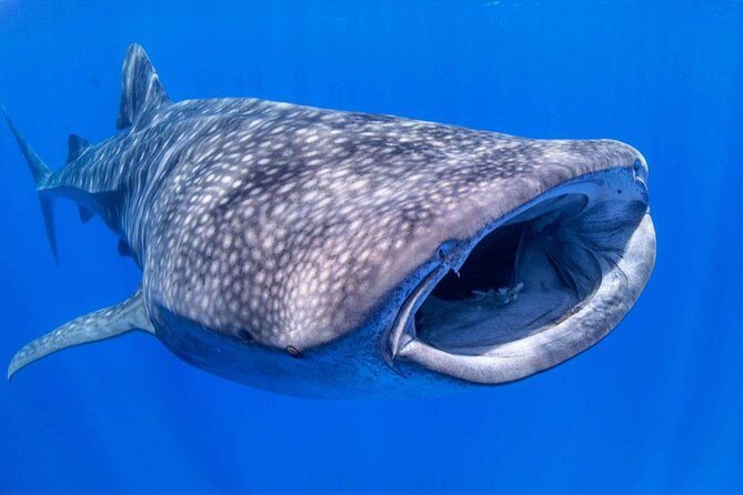 Custom Private Adventure - FAQs