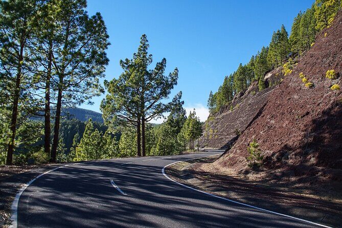 Custom Private Full-Day Tour into the Heart of Tenerife - A Full-Day Peek into Tenerife’s Wonders