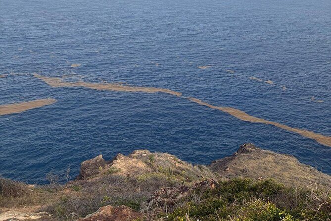 Custom Private Tour of Antigua Explore at Your Own Pace - Transportation & Flexibility