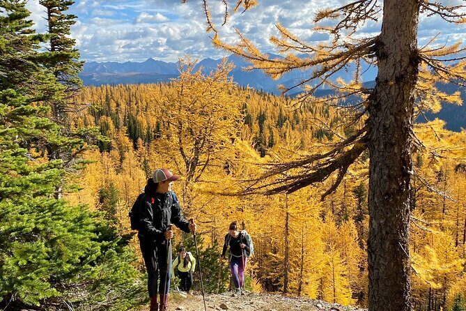 Custom Rocky Mountains Private Car Tour from Calgary - A Deep Dive Into the Rockies Experience