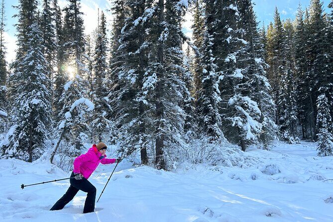 Custom Rocky Mountains Private Car Tour from Calgary - Final Thoughts