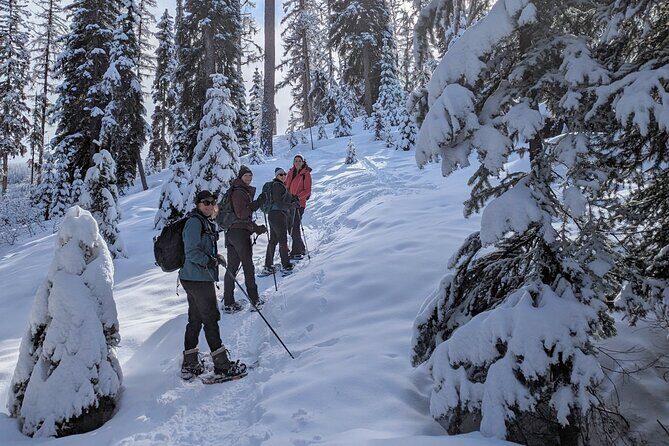 Custom Winter Hiking Trip Planning and Rental Equipment - The Itinerary in Detail