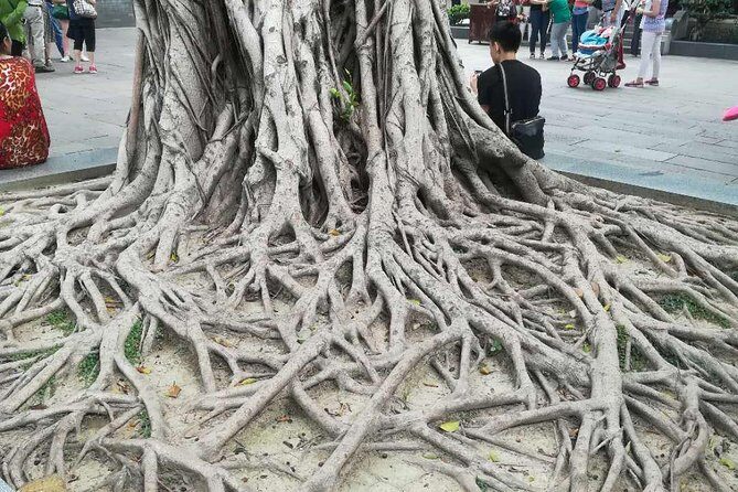 Customised Private Guangzhou City Tour with Flexible Itinerary - The Sum Up