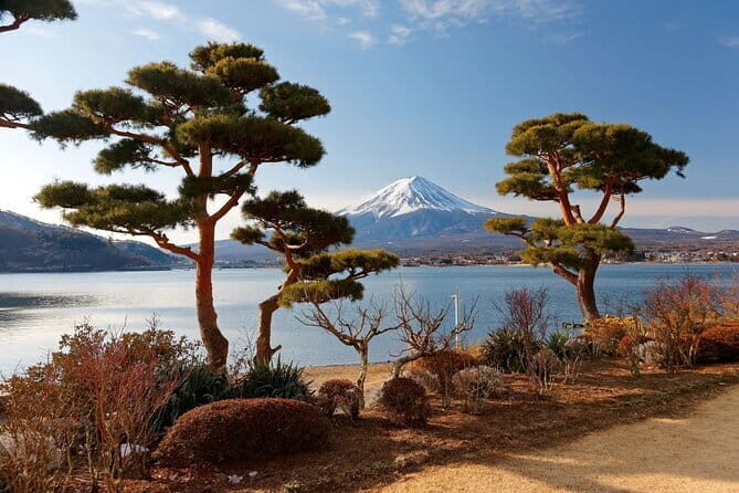 Customizable 10 Hour Private Tour from Tokyo to Mount Fuji - FAQ