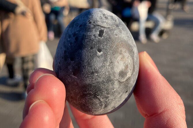 Customizable Hakone Private day Trip, English Speaking driver - Discover the Best of Hakone and Mount Fuji on a Private Day Trip from Tokyo