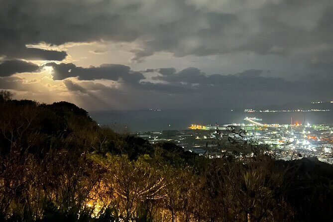 Customizable Okinawa Beach Nature and History Trail Tour - Wrapping It Up